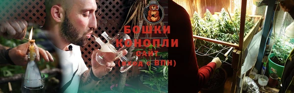 PSILOCYBIN Армянск