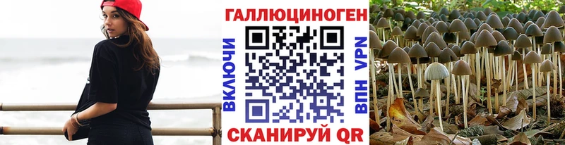 дарк нет официальный сайт  Сухой Лог  Галлюциногенные грибы мицелий 
